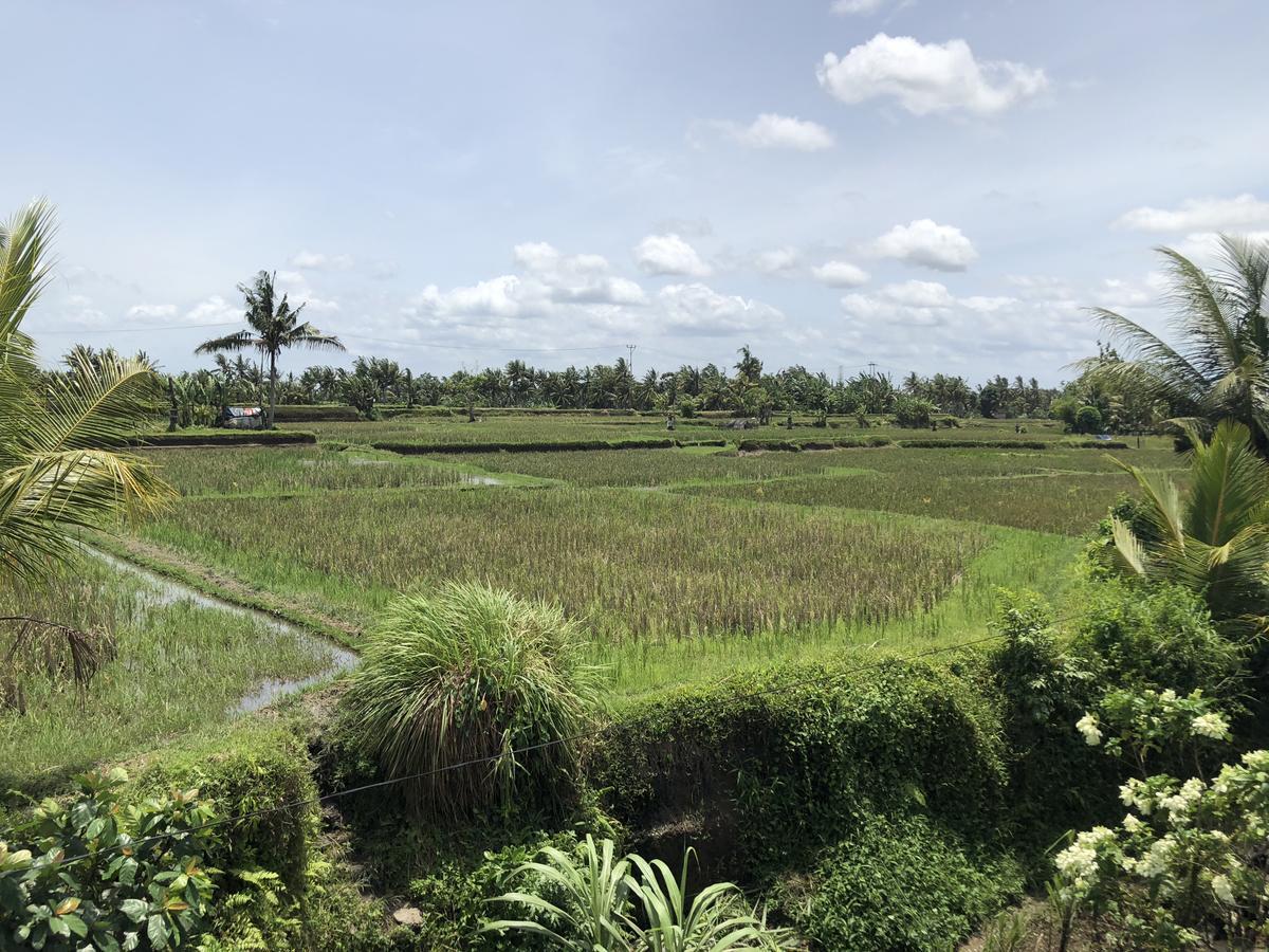 Hacco Capsule Hotel Ubud  Exterior photo